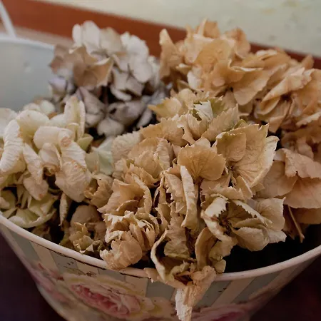 Luxurious In With Garden