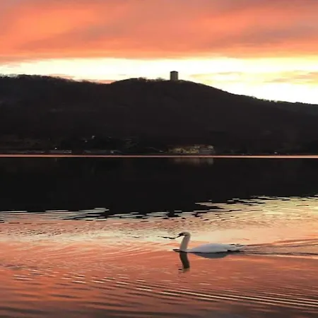 Luxurious In With Garden