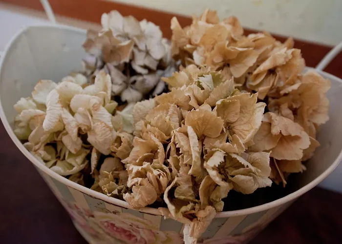 Luxurious In With Garden