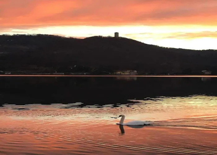 Luxurious In With Garden